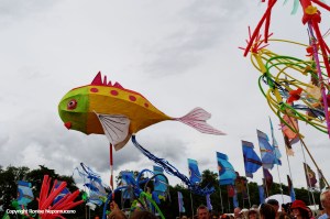 Carnival Parade at Womad 2014 by Ronise Nepomuceno
