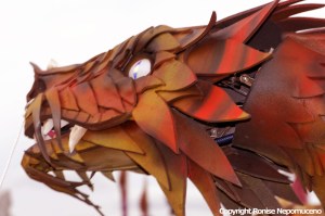 Womad 2014 Carnival Parade by Ronise Nepomuceno