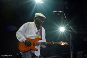 Clinton Fearon at WOMAD 2014 by Dylan Garcia