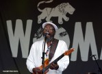 Clinton Fearon at WOMAD 2014 by Dylan Garcia