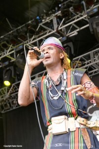 Justin Vali & Ny Malagasy at WOMAD 2014 by Dylan Garcia