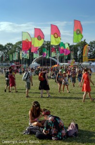 Revellers at WOMAD 2014 by Dylan Garcia