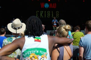 Revellers at Criolo's Gig at WOMAD UK 2015