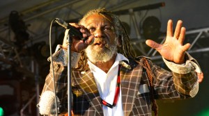 Winston McAnuff & Fixi at WOMAD UK 2015, photo by Dylan Garcia
